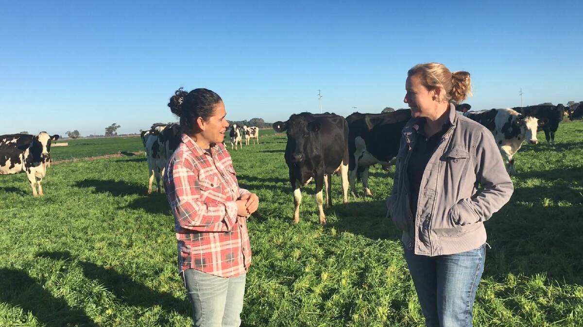 SKILLED: Dairy farmer Kristen Clark with farm hand Janeth Ventura on their farm in Finley, NSW