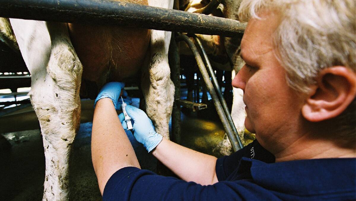 CORRECT USE: Using the right antibiotic in the right way is critical to their success in treating animal problems.