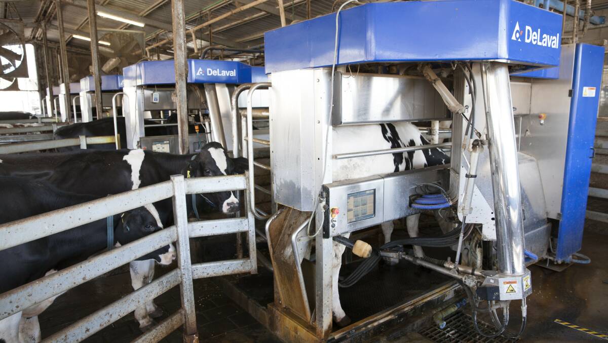 ROBOTS: The Milking Edge project is working with commercial AMS farms across Australia.