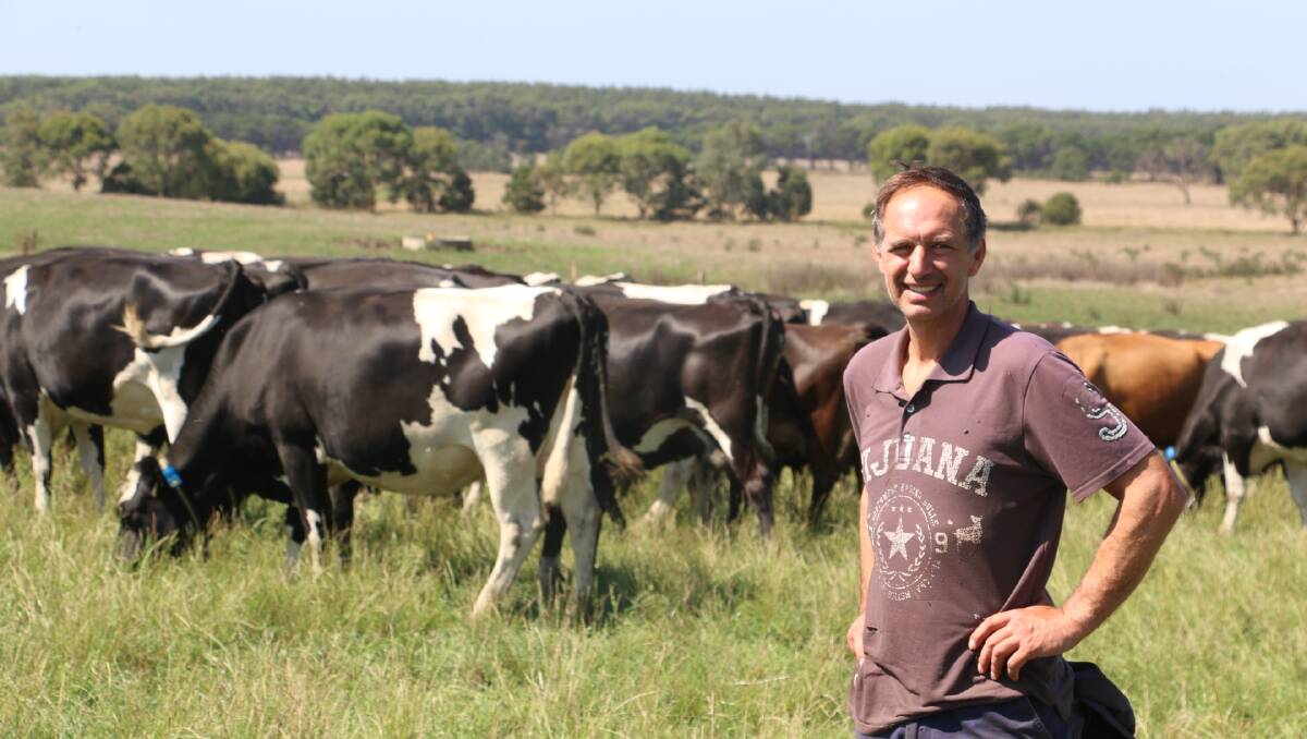 PASTURE RESEARCH: Peter Musson is keen to see the outcome of pasture research being trialled on his farm at Macarthur, Vic.