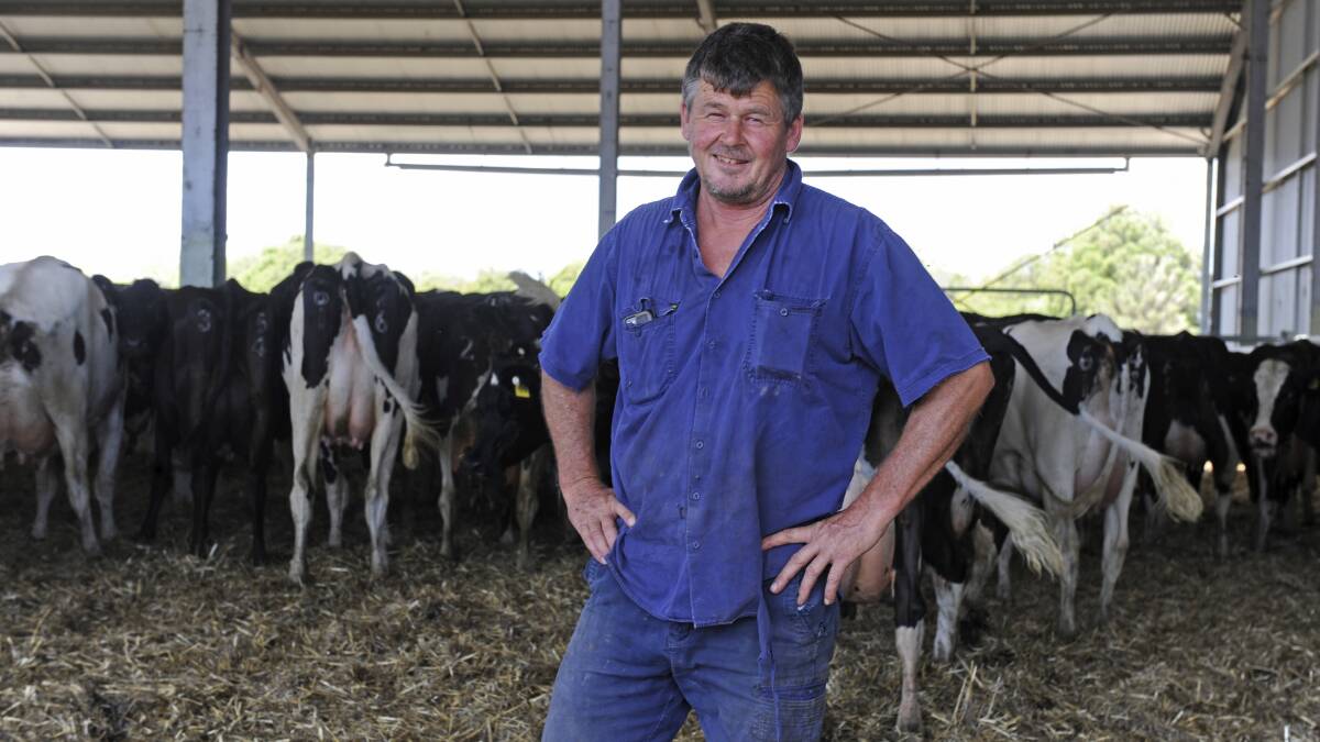 PROFIT DRIVER: Northern Victorian dairy farmer Steve Hawken says the right genetics means more fertile cows that are helping lift profit on his farm. 