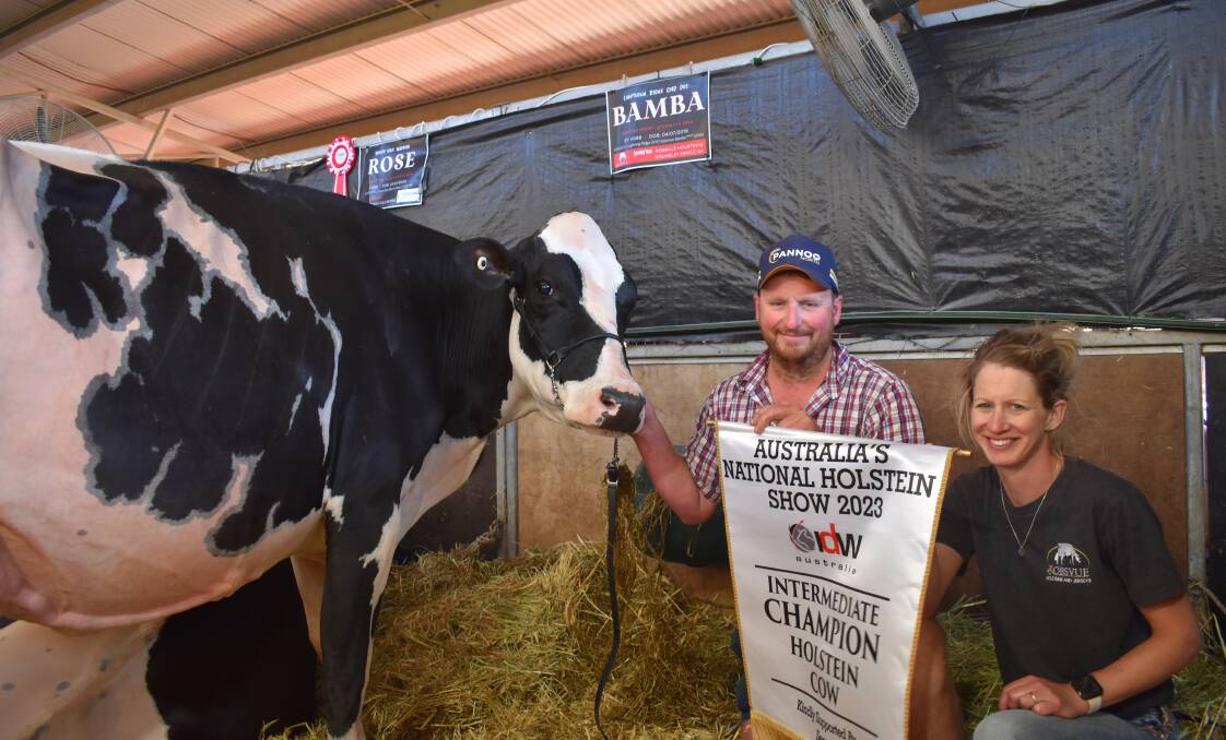 The 2023 International Dairy Week Holstein intermediate champion Lightning Ridge CMD Doc Bamba-ET with owners Rob and Bec Walmsley, Myponga, SA. Picture by Alastair Dowie