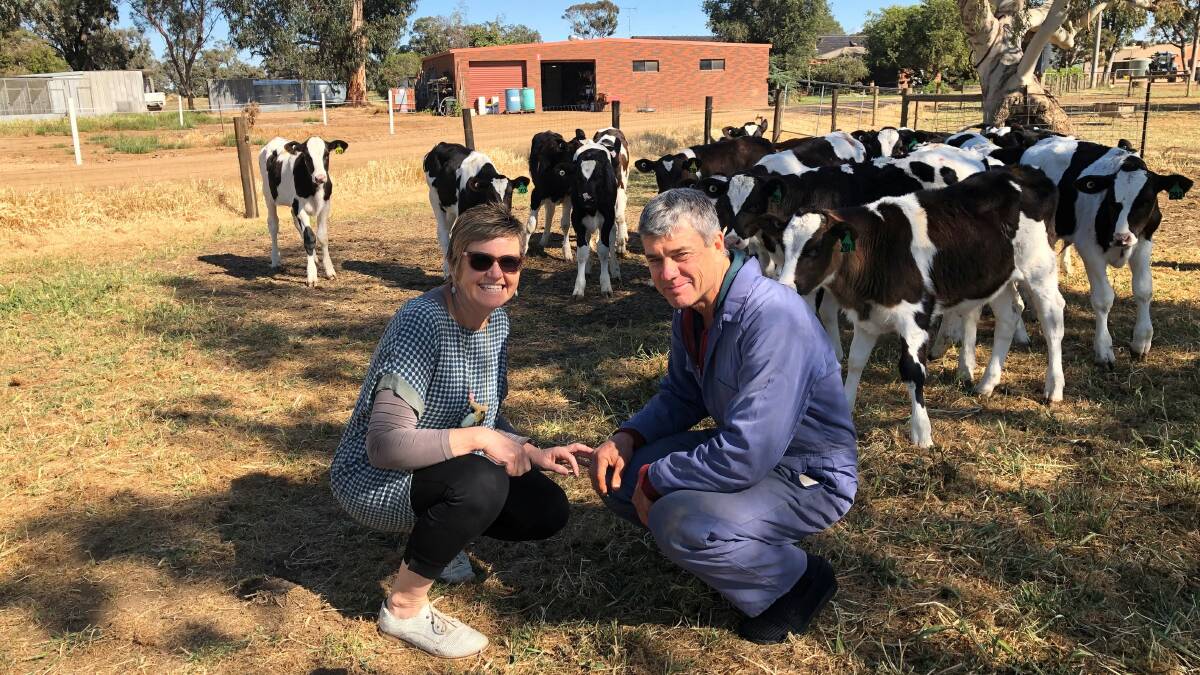 BIOSECURITY PLAN: Andrew and Christine Sebire have put protocols in place to ensure contaminants from the dairy and dairy herd cannot impact calves and young stock.