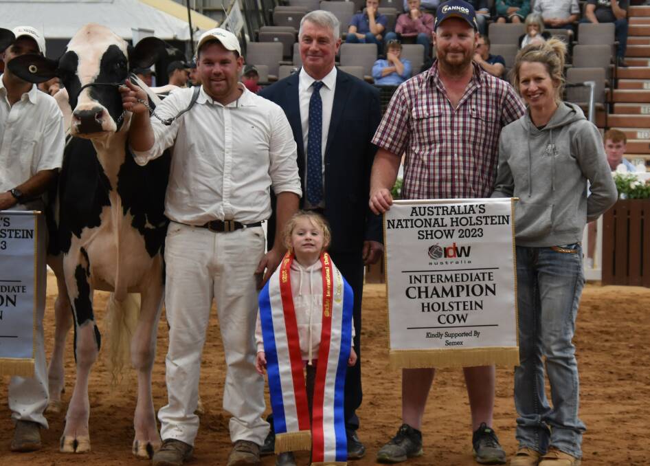 The 2023 International Dairy Week Holstein intermediate champion cow Lightning Ridge CMD Doc Bamba-ET with leader Nathan Hart, judge Warren Ferguson and owners Rob and Bec Walmsley and their daughter Tahlia. Picture by Carlene Dowie