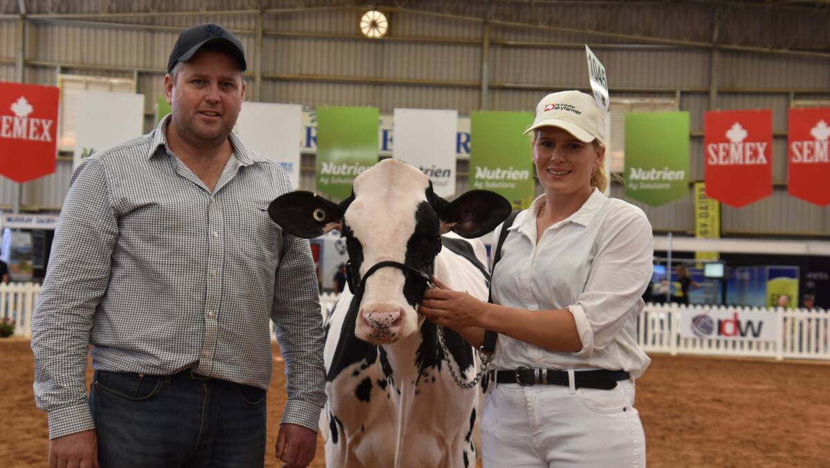The 2024 International Dairy Week junior champion Holstein Gorbro Hano O Princess with owner Glen Gordon and leader Kelly Bleijendaal. Picture by Carlene Dowie