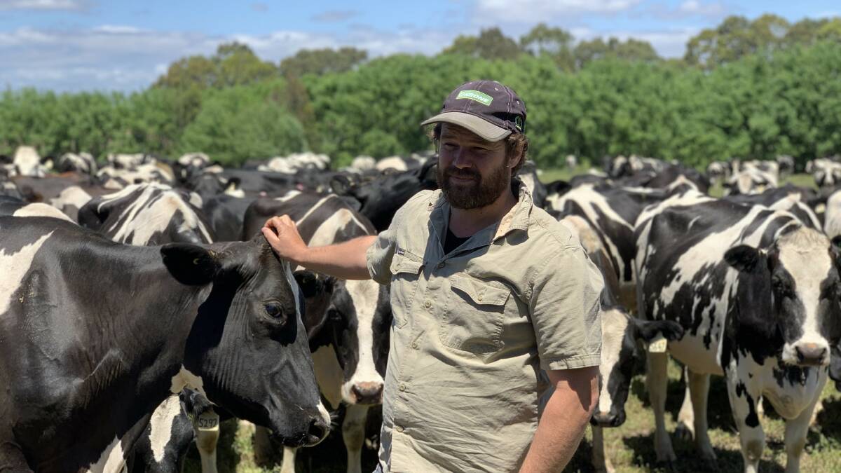 HEALTHY HERD: Gippsland dairy farmer Huw Evans on his farm in Bairnsdale, Vic, where he has cut antibiotic use.