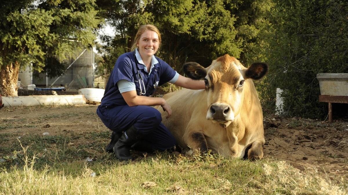 Vet and dairy farmer Lucy Collins recently completed a Nuffield scholarship. Picture supplied