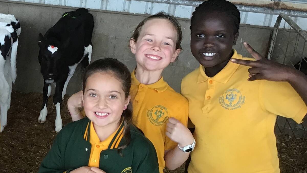 Grade 3/4 students from Immaculate Heart of Mary School, Newborough, Vic, spent a day visiting Matt and Nadine Gleesons' dairy farm. Picture supplied