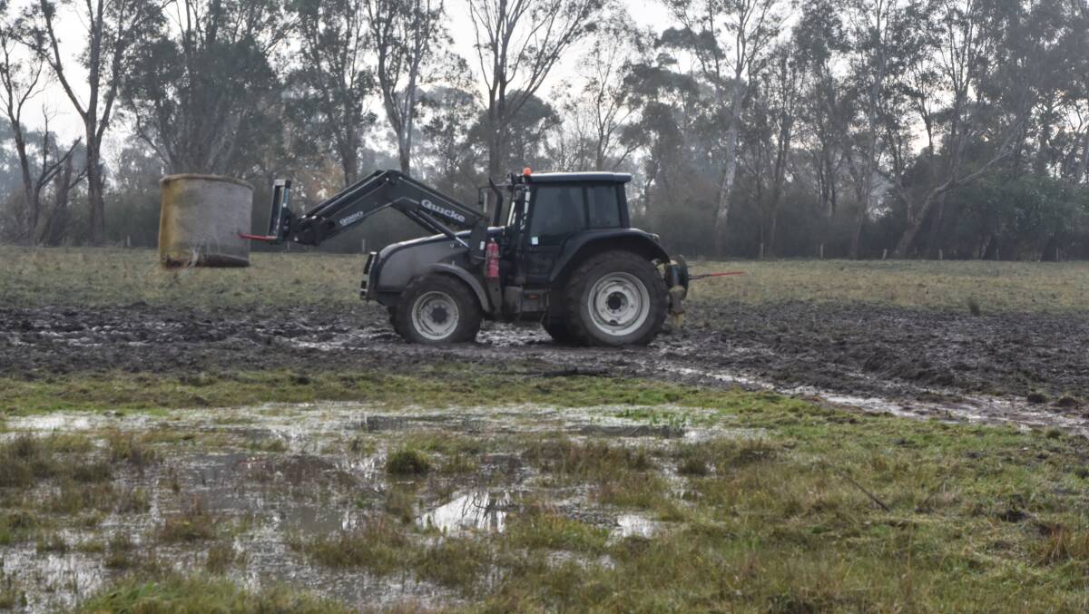 WET WINTER: Pasture production has been impacted by wetter-than-normal conditions through winter.