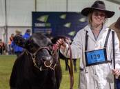 SWITCH: Caitlin Martin started out with an interest in the beef industry but now wants to move into dairying.