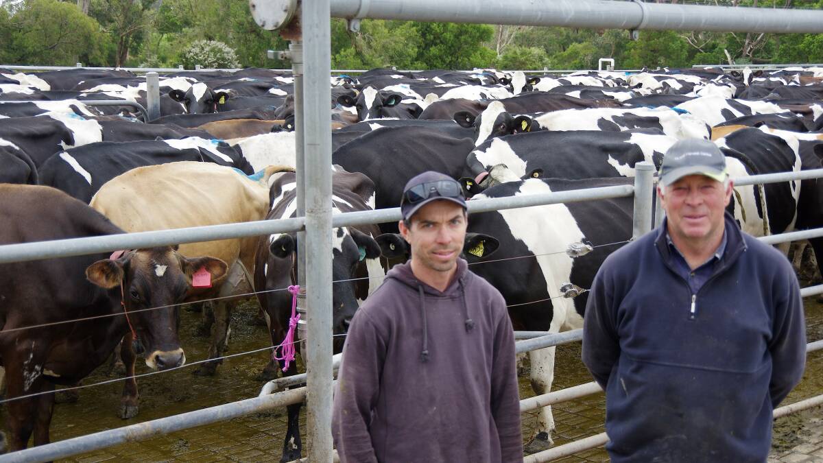 COPING: Shaun and Graeme Cope, Fish Creek, who spent the summer of 2018 trying to get a chronic mastitis problem under control in their 840-cow herd.
