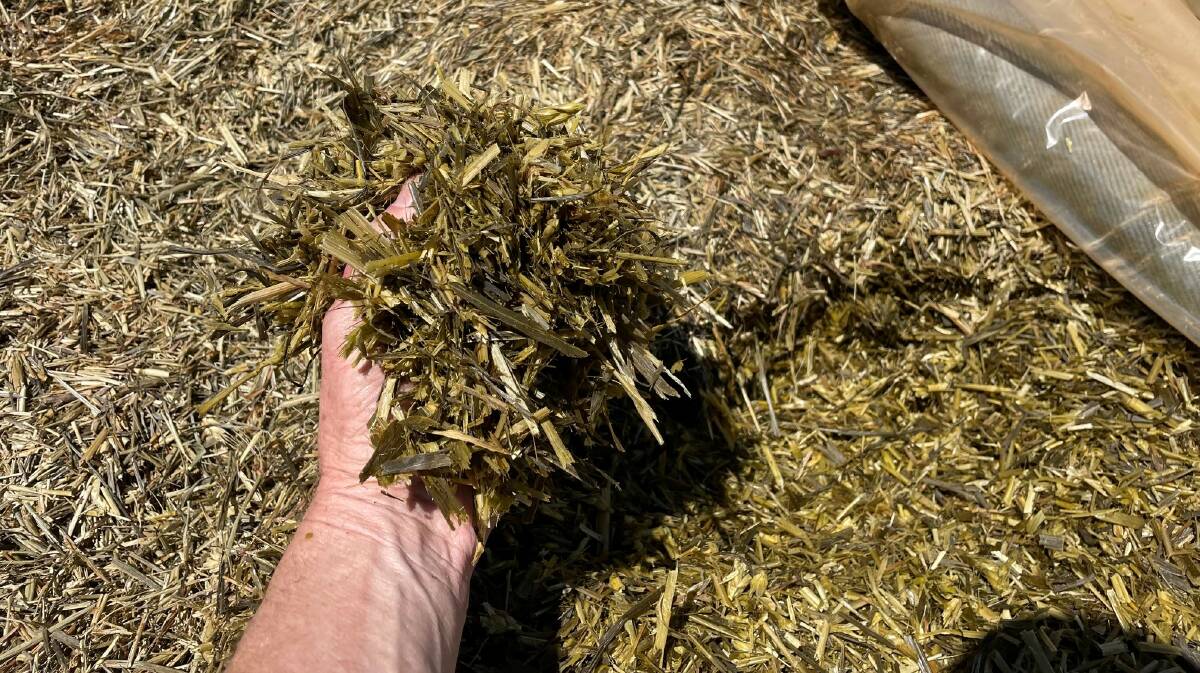  Any variation in the distribution of the inoculant will impact upon fermentation of silage. 