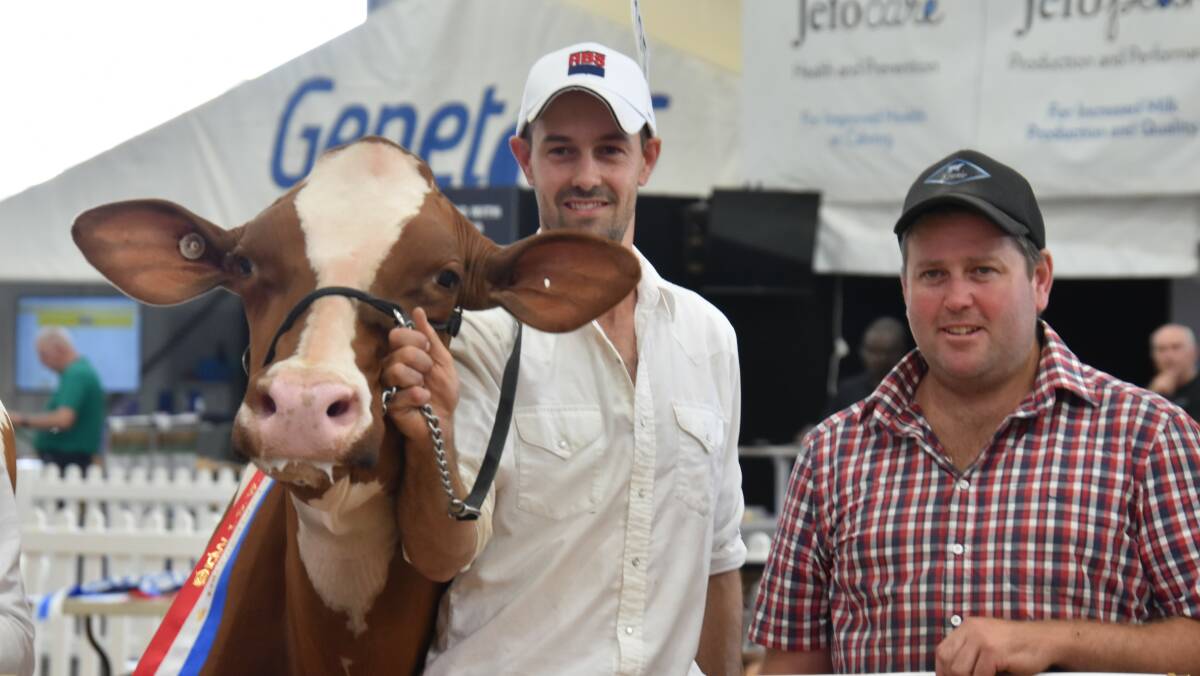 The International Dairy Week 2023 Red and White Holstein intermediate champion Gorbro Unstopabull Admire with leader Andy Cullen and owner Glen Gordon, Gorbro Holsteins, Cohuna, Vic. Picture by Carlene Dowie