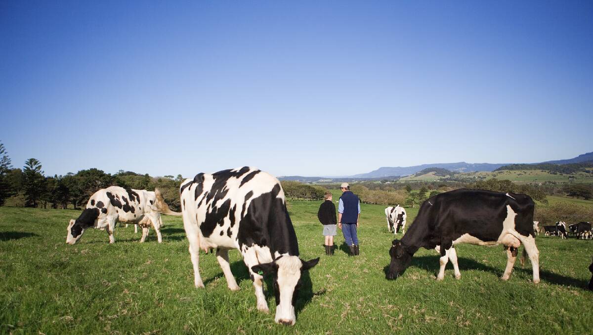 PEOPLE PRIORITY: Australian Dairy Farmers has outlined its election statement that seeks to secure the recovery of the dairy industry with a focus on people, sustainability and economic recovery.