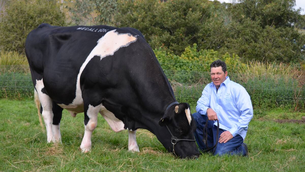TOP BULL: Brian Anderson with Medallion, one of Australia's highest selling bulls.