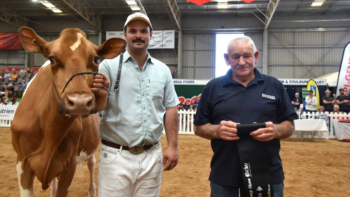 The 2024 International Dairy Week grand champion Guernsey Crookslea Ruby 2nd with leader Kieran Coburn and owner Neville Wilkie. Picture by Carlene Dowie