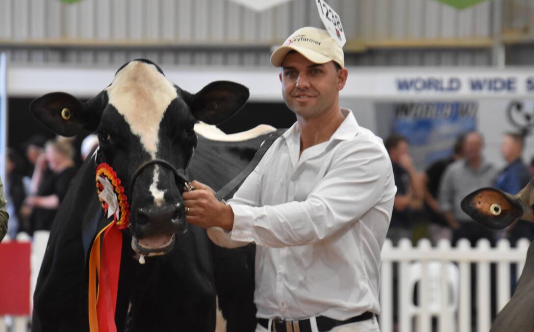 The 2024 International Dairy Week grand champion Holstein InStyle Solomon Dahlia with leader Cameron Yarnold. Picture by Carlene Dowie