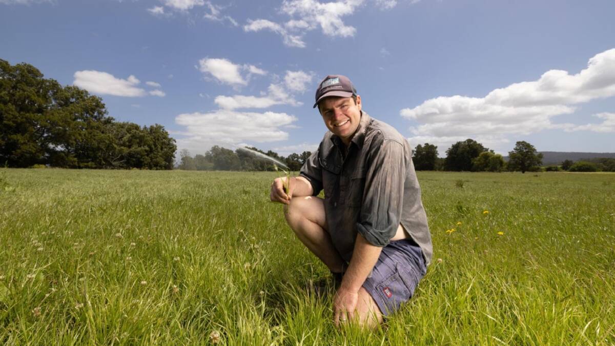 Bega, NSW, dairy farmer Will Russell's selection of Italian ryegrass is based on information in the Forage Value Index tables. Picture supplied by Dairy Australia