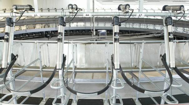 CUP REMOVERS: Automatic cup removers are a good option for a milking system to gain immediate efficiency and productivity improvements