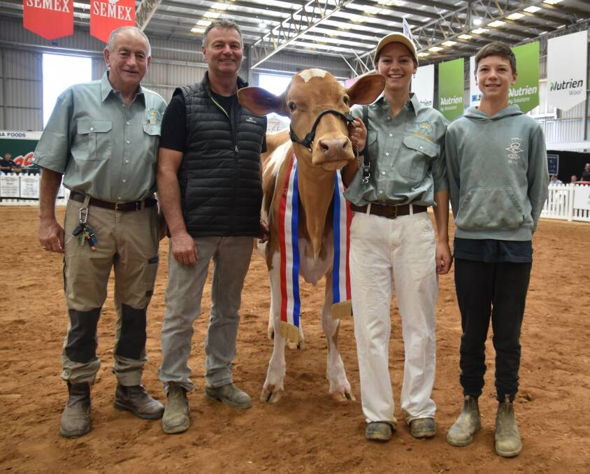 The 2024 International Dairy Week junior champion Guernsey Ocean Breeze JC Gemma with owners Darby Norris and Corey, Ruby and Ethan Couch. Picture by Carlene Dowie