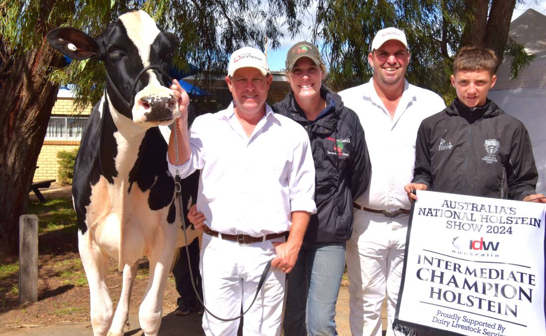 The 2024 International Dairy Week intermediate champion Holstein Eclipse Perennial C Princess with owners Brad and Jess Gavenlock and Murray and Lochie Polson. Picture by Carlene Dowie