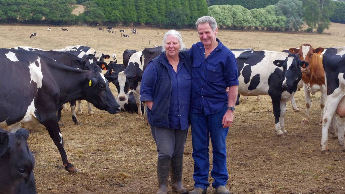 HERD LOSS: Jenni and Rob Marshall lost 10 per cent of their herd to Theileria disease.