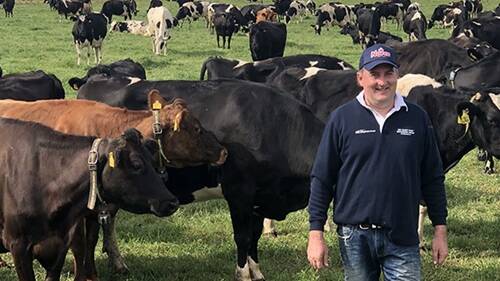 TOP QUALITY: Oxley Island, NSW, dairy farmer James Neal takes a proactive approach to managing mastitis.