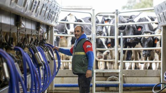 CO-FOUNDER: Fleurieu Milk Company co-founder Geoff Hutchinson in his Myponga, SA, dairy. Picture: Sally Badnall. 