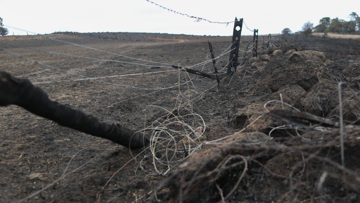 FENCING DESTROYED: Large amounts of pasture and fencing were destroyed in the 2018 fires in western Victoria but are now largely recovered.