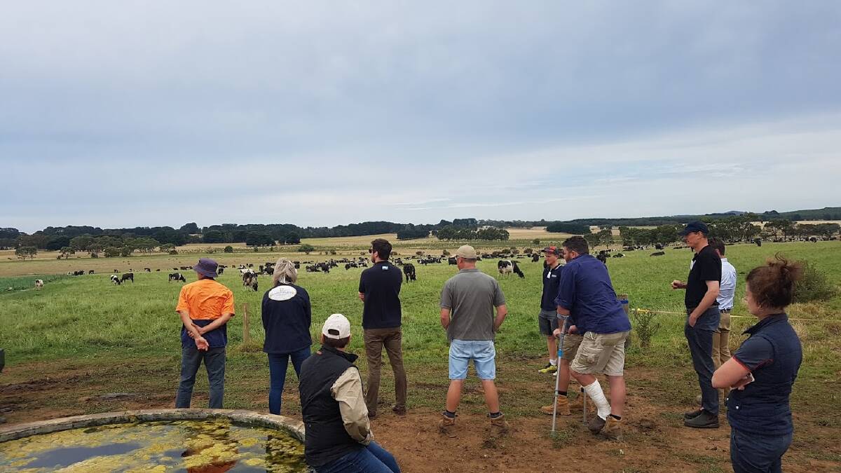 ON FARM VISION: Two field days next month in western Victoria will allow farmers to see progress being made on WestVic Dairy focus farms.