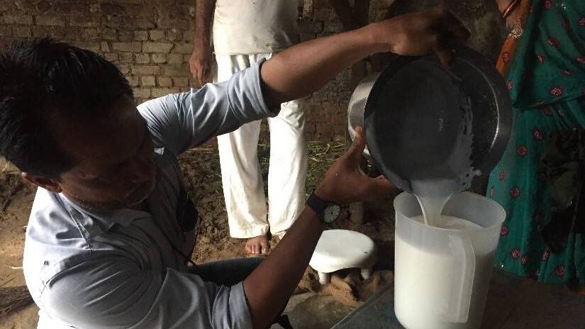SMALLHOLDER: Indian smallholder farmer measuring milk. Photo supplied by Professor Ben Hayes. 