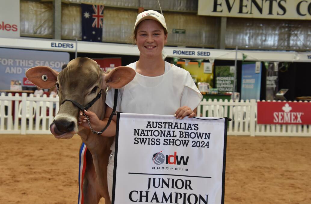 The 2024 International Dairy Week junior champion Brown Swiss Dusty Road Aldo Paris 13949 with owner Leah Dickson. Picture by Carlene Dowie