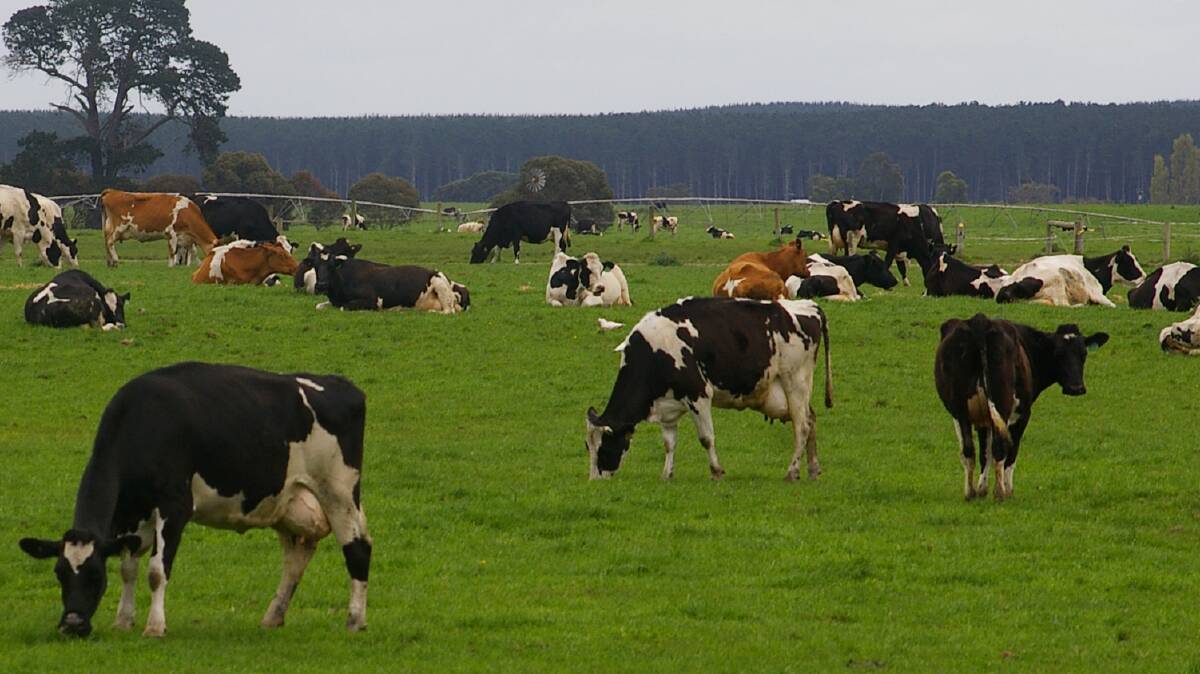 ON-FARM DRIVERS: Dairy Australia has commissioned a project investigating in-depth farm performance data to get a better handle on the industry drivers of productivity and profits.