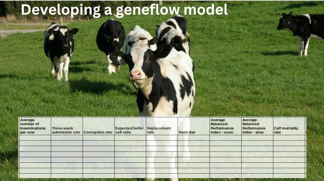 How to develop and use a geneflow model to manage your dairy farm