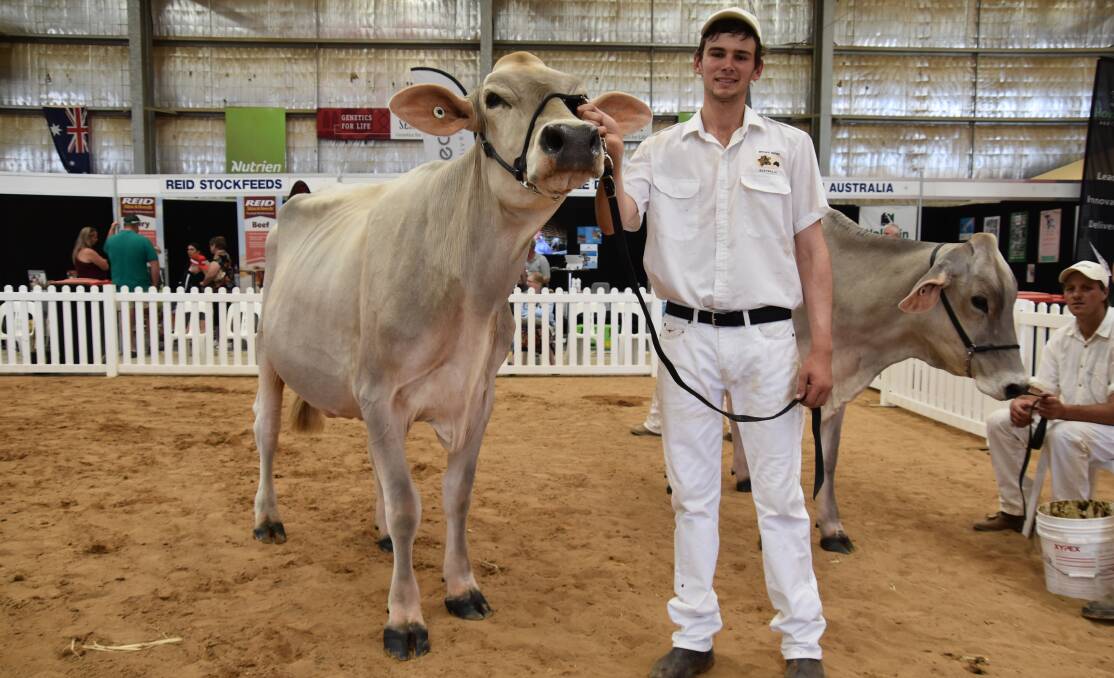 The 2023 grand champion Brown Swiss Tandara Carter Ann Arbor 48 with co-owner Angus Fraser, Dingee, Vic. Picture by Carlene Dowie