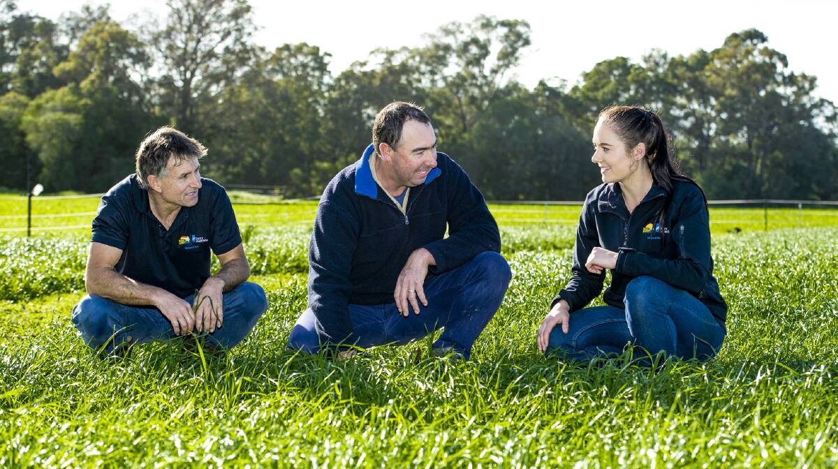 RESEARCHERS: Western dairy researchers Peter Hutton (left) and Jessica Andony (right) meet with dairy farmer Matt Brett (centre) on Matt's farm at the site of the 2018 pasture trials, Dardanup WA.
