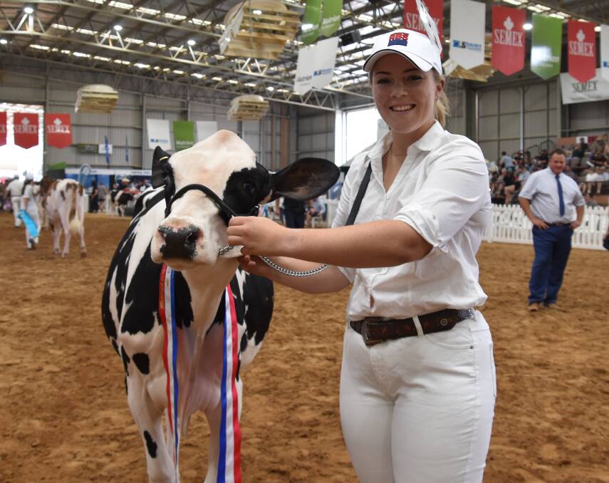 The junior champion senior leader Gorbro Dylan Noni was exhibited by Abbie Hanks and is led by Kaitlyn Wishart, Cohuna, Vic.