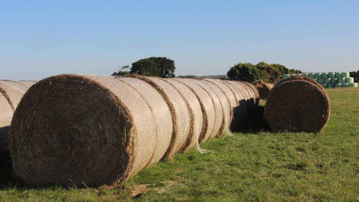 HIGHER ENERGY: The hay treated with Hay Guard had lower NDF levels and higher energy levels.