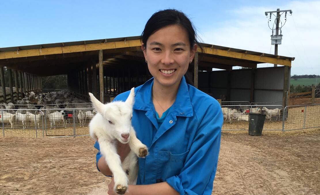 RESEARCHER: Charles Sturt PhD student Tabita Tan is conducting a survey to identify the impacts of Q Fever.