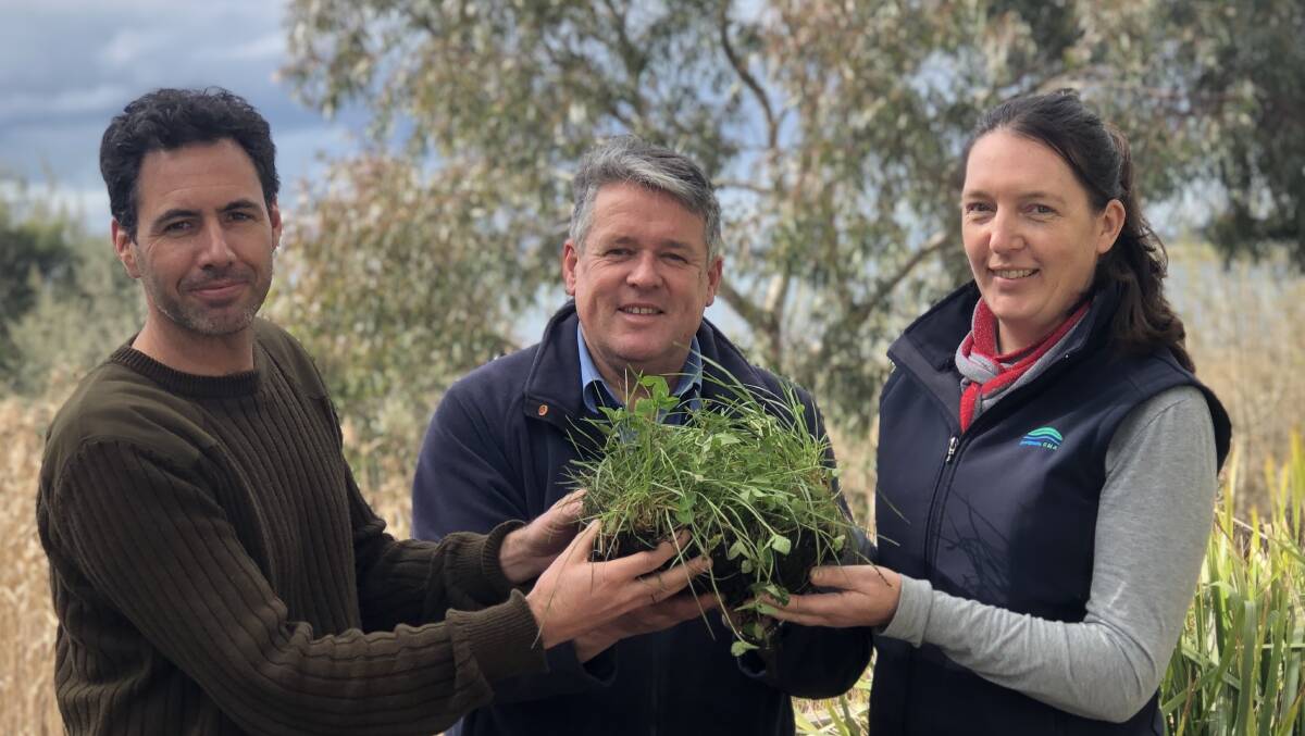 SOIL PROJECT: Andrew Gray, Geoff Rollinson and Karen O'Keefe are involved in a new project that aims to improve soils on south-west Victorian farms.