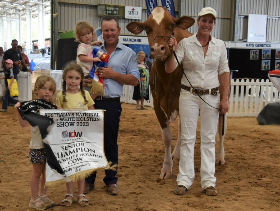 The inaugural International Dairy Week Red and White Holstein grand champion Bluechip Ev Shesaawesome Apple-ET, with owners Brad and Jess Gavenlock and their daughters Britney, Penny and Maggie. Picture by Carlene Dowie 