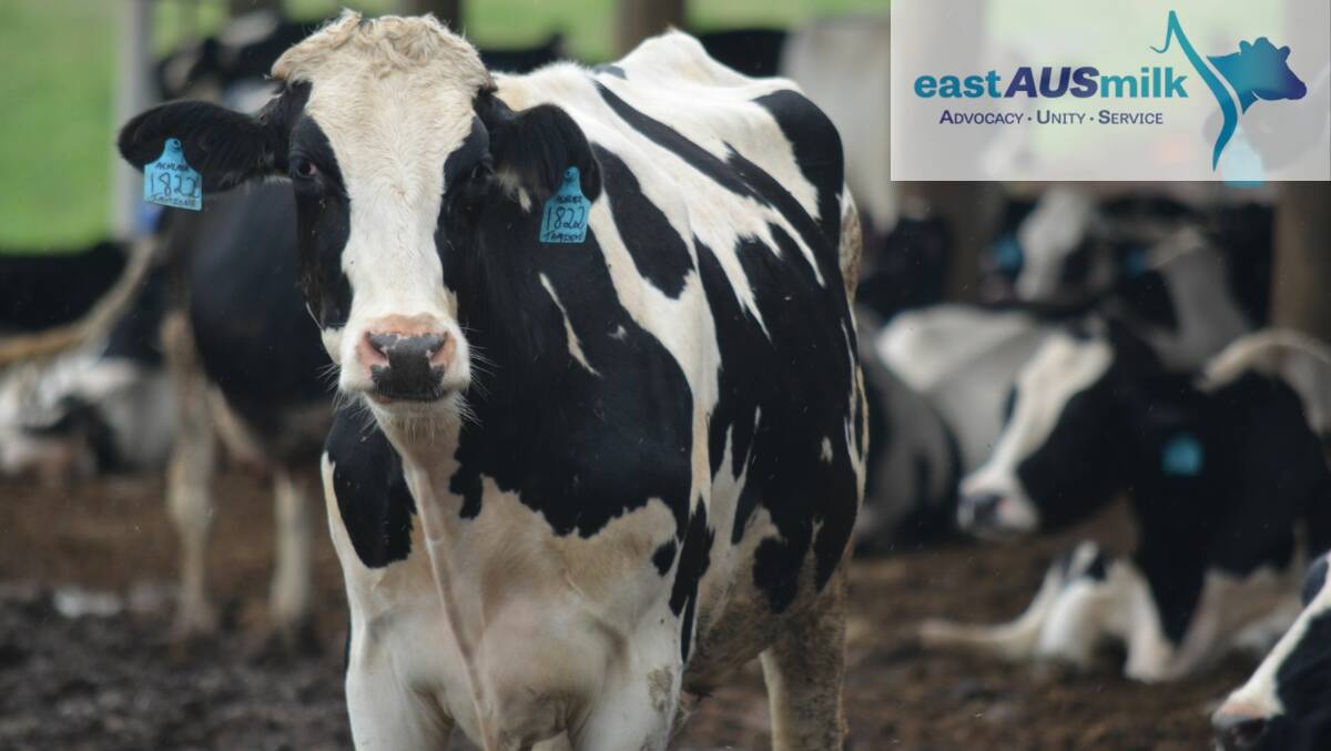 NEW ORGANISATION: A new organisation aims to represent dairy farmers in Queensland and NSW.