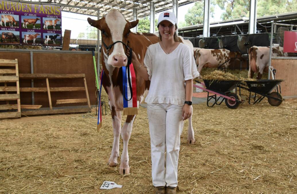 The Red and White Holstein junior champion Elmar Mirand Farlex 4688-PO, with the owner Abbie Hanks, Cobden, Vic. Picture by Carlene Dowie