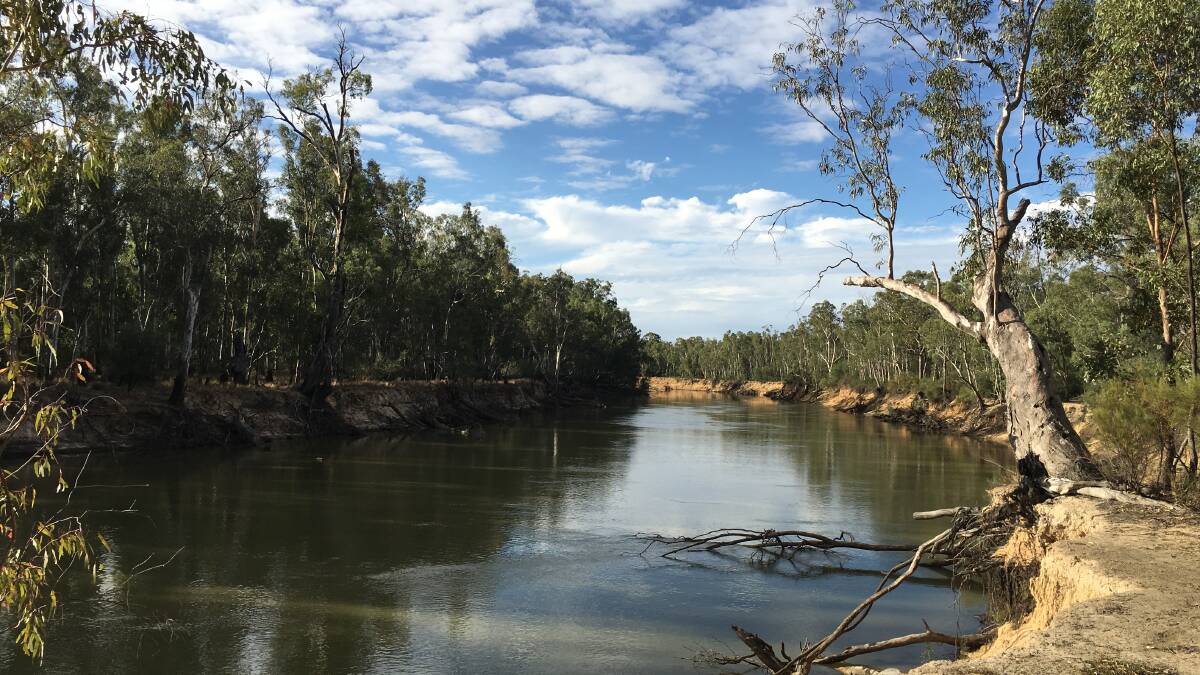 DRY ARGUMENT: Irrigators along the Murray River will no doubt vote for who they believe has a better vision for the Basin Plan.