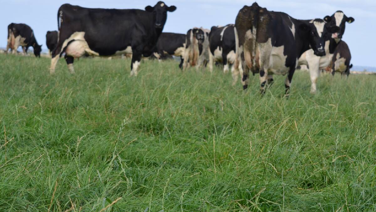 PASTURE: There is strong supporting evidence that pasture as a percentage of the cows' diet correlates with profit. 