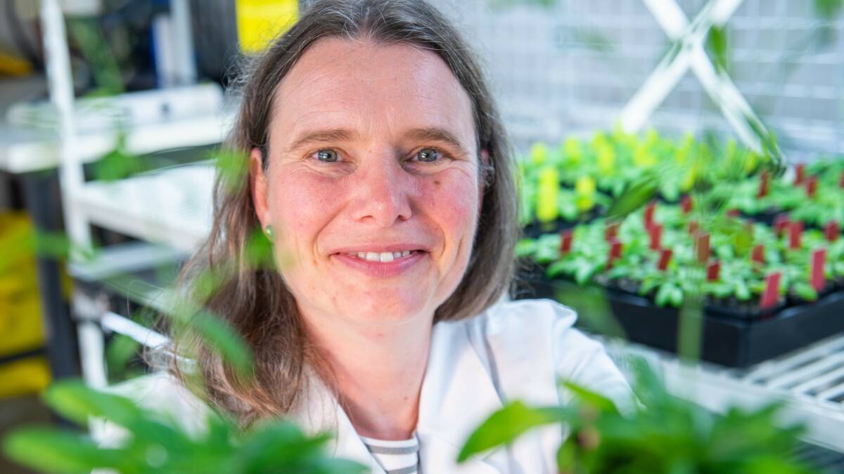 BREAKTHROUGH: Dr Ricarda Jost, from La Trobe University, has led research that has provided a breakthrough in how plants respond to fertiliser. 
