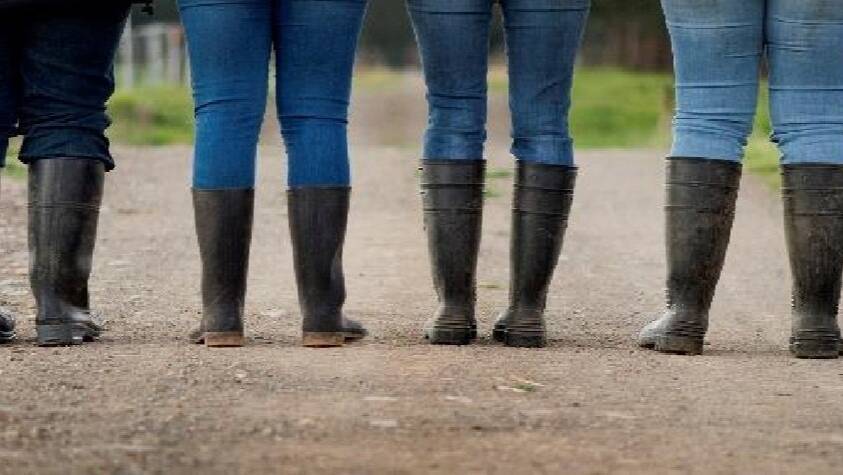 GUMBOOTS ON: The Women in Dairy conference attracts women from farms across NSW and interstate. 
