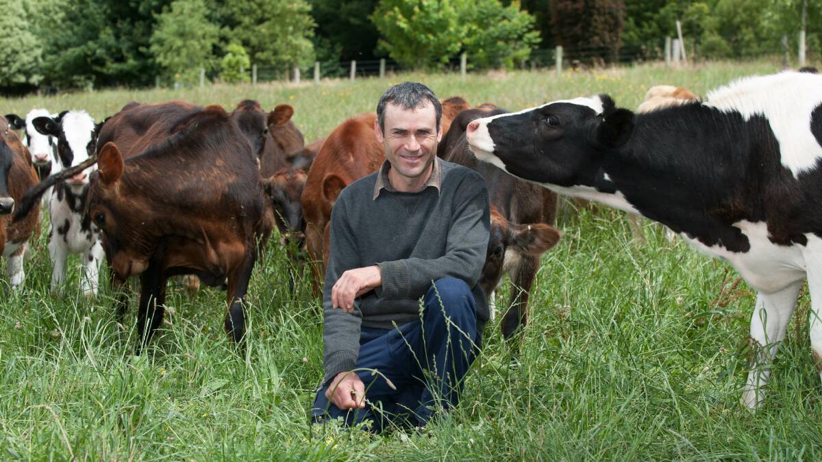 COW MAN: Paul Sherar describes himself as a cow man and has used his ability to raise stock to build wealth in the dairy industry.