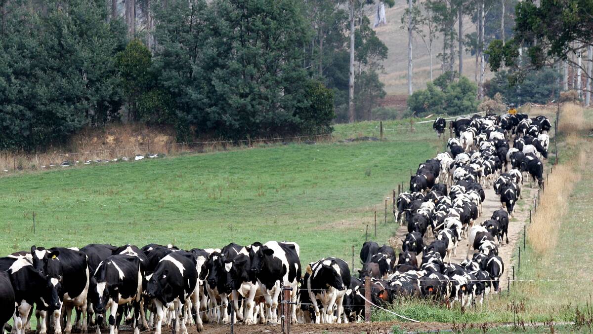 SUSTAINABILITY: The Australian dairy industry was the first to develop an industry-wide sustainability framework.