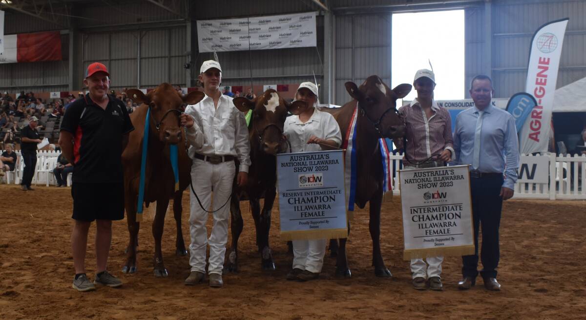 From right: judge Brad Gavenlock, intermediate Illawarra champion Llandovery Guses Freda, Hayes family, Girgarre, Vic, led by Zoe Hayes; reserve Glencliffe Carlee, led by Ingrid Diment, Stanhope, Vic, and honourable mention, Llandovery Guses Melbaa, Hayes family, led by Edward Dudfield, Tas, and sponsor David Ninness, Semex. Picture by Alastair Dowie